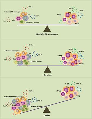 Role of Regulatory T Cells in Disturbed Immune Homeostasis in Patients With Chronic Obstructive Pulmonary Disease